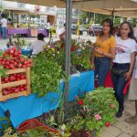 COLABORADORES DE TRCH SE MOTIVAN CON VIERNES DE ZUMBA